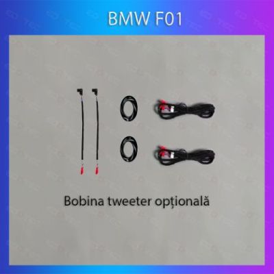 Lumini Ambientale NIGHTVIBE BMW Seria 7 dedicat tweeter control telefon sau sistem original