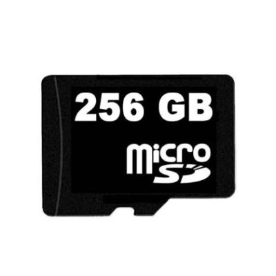 Card memorie 256 GB pentru camere DVR Autolensa
